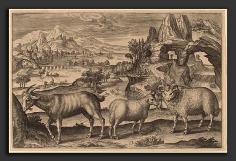 Adriaen Collaert (Flemish, c. 1560 - 1618), Animalium Quadrupedum, engraving
