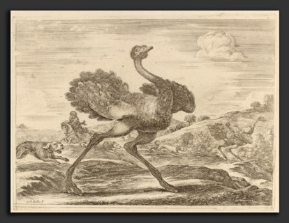 Stefano Della Bella (Italian, 1610 - 1664), Ostrich Hunt, etching on laid paper [restrike]