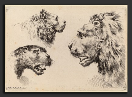 Stefano Della Bella (Italian, 1610 - 1664), Three Lion Heads, probably 1649, etching