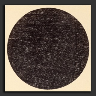 Dr. Arthur Durham (1850 - 1930), Microphotograph of Traverse Section of Wood (Salisburia), 1870s,