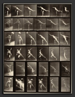 Eadweard Muybridge (American, born England, 1830 - 1904), Animal Locomotion, Plate 523, 1887,