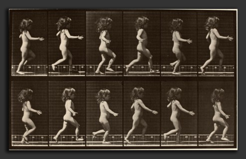 Eadweard Muybridge (American, born England, 1830 - 1904), Animal Locomotion, Plate 469, 1887,