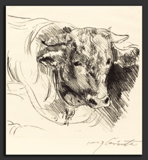 Lovis Corinth, Head of a Steer (Stierkopf), German, 1858 - 1925, 1912, lithograph in black on laid