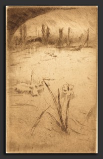 James McNeill Whistler (American, 1834 - 1903), Swan and Iris, published 1883, etching in brown on