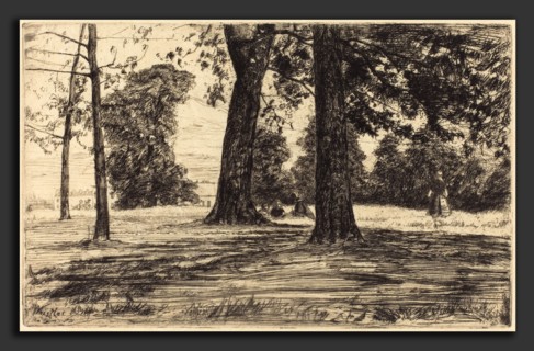 James McNeill Whistler (American, 1834 - 1903), Greenwich Park, 1859, etching in black on "japon