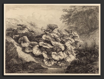 EugÃ¨ne Bléry (French, 1805 - 1887), Large Coltsfoot, 1843, etching and roulette in black on chine