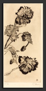Ernest-Ange Duez (French, 1843 - 1896), Flowers (Fleurs), 1894, drypoint on laid paper