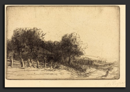 Alphonse Legros, Landscape (Un paysage), French, 1837 - 1911, etching and drypoint