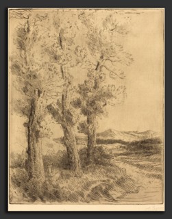 Alphonse Legros, Woman Reading: Lesson under the Trees (La liseuse: La lecture sous les arbres),