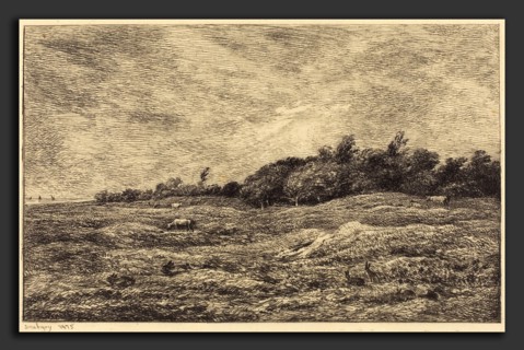 Charles-FranÃ§ois Daubigny (French, 1817 - 1878), The Meadow at Grave, near Villerville  (Le Pre