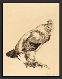 Félix Bracquemond (French, 1833 - 1914), The Old Cock, 1882, etching