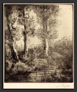 Alphonse Legros, Banks of the Saint-Pre (Rive du Saint-Pre), French, 1837 - 1911, etching?