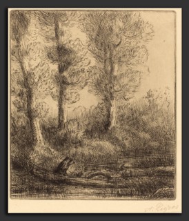 Alphonse Legros, Banks of the Saint-Pre (Rive du Saint-Pre), French, 1837 - 1911, etching