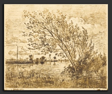 Charles-FranÃ§ois Daubigny (French, 1817 - 1878), Stand of Alders (Le Bouquet d'aunes), 1862,