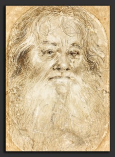Hans Holbein the Elder (German, c. 1465 - 1524), Study of a Bearded Man, c. 1508-1510, silverpoint