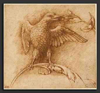Andrea Mantegna (Italian, c. 1431 - 1506), A Bird Perched on a Branch with Fruit, 1460s, pen and