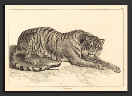 Jacques-Philippe Le Bas and Jean Eric Rehn after Jean-Baptiste Oudry (French, 1707 - 1783), Leopart