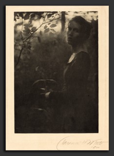 Clarence H. White, Edge of the Woods, Evening, American, 1871 - 1925, 1900, photogravure