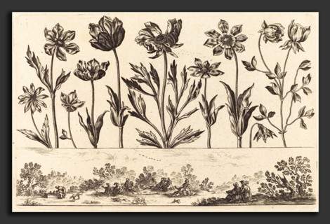Nicolas Cochin after Balthasar Moncornet (French, 1610 - 1686), Flower Print no.1, 1645, etching