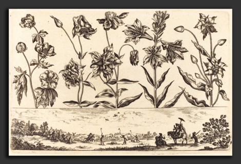 Nicolas Cochin after Balthasar Moncornet (French, 1610 - 1686), Flower Print no.6, 1645, etching