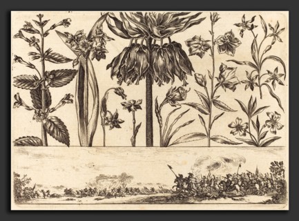 Nicolas Cochin after Balthasar Moncornet (French, 1610 - 1686), Flower Print no.10, 1645, etching