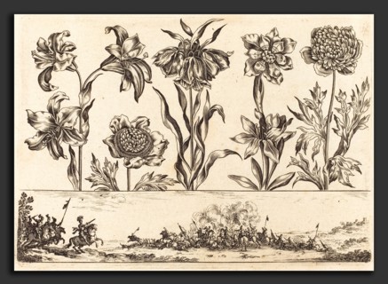 Nicolas Cochin after Balthasar Moncornet (French, 1610 - 1686), Flower Print no.8, 1645, etching