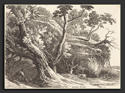 Richard Cooper II (British, 1740 - after 1814), Landscape with Large Trees, 1802, pen-and-tusche