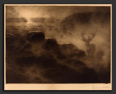 Francis Seymour Haden (British, 1818 - 1910), An Early Riser, 1897, mezzotint