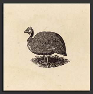 Thomas Bewick (British, 1753 - 1828), Guinea Hen, c. 1800, wood engraving on China paper