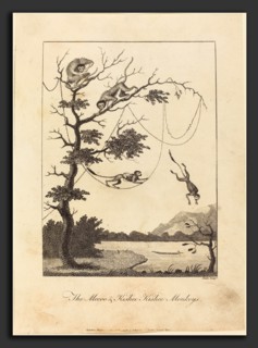 William Blake after John Gabriel Stedman (British, 1757 - 1827), The Mecoo & Kisbee Kishee Monkeys,
