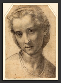 Andrea del Sarto (Italian, 1486 - 1530), Head of a Woman, c. 1515, black chalk on laid paper