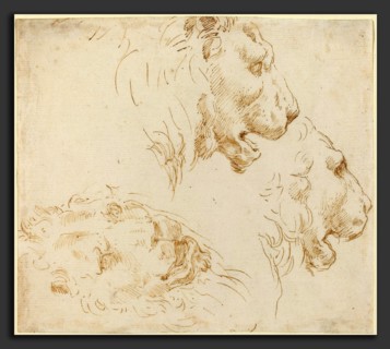 Stefano Della Bella (Italian, 1610 - 1664), Studies of a Lion's Head, pen and brown ink on laid