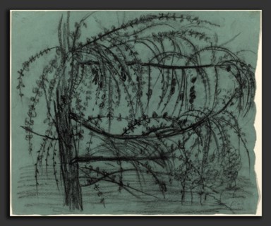 Paula Modersohn-Becker, Fruit Tree in Bloom, German, 1876 - 1907, 1900-1902, charcoal on blue laid