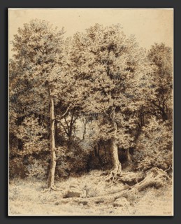 Karl Theodor Reiffenstein (German, 1820 - 1893), A Copse of Trees, 1863, brown and black pen and