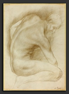 Alphonse Legros, Old Man, French, 1837 - 1911, metalpoint on bristol board