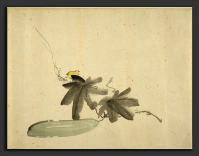 Edouard Manet (French, 1832 - 1883), Cucumber with Leaves, c. 1880, watercolor and gray wash on