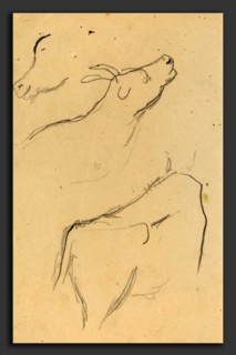 Paul Gauguin (French, 1848 - 1903), Studies of a Cow, 1884-1888, graphite on wove paper