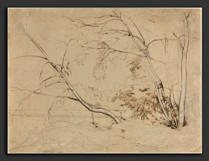Jean-Baptiste-Camille Corot (French, 1796 - 1875), Clump of Trees at Civita Castellana, 1826, pen