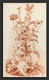 Jean-Baptiste HÃ¼et, I (French, 1745 - 1811), Poppies with Seed Pods, mid 1760s, red chalk on laid