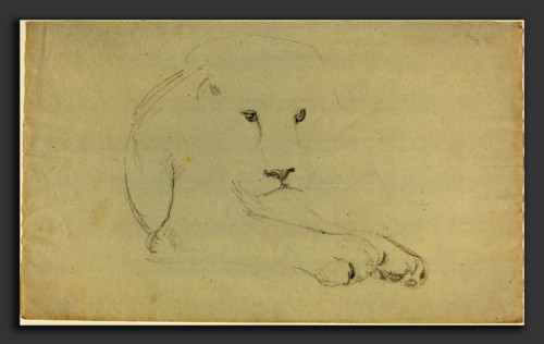 John Flaxman (British, 1755 - 1826), Lion, graphite