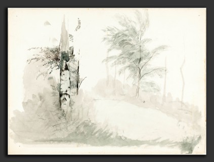 John Ruskin, Tree Study, British, 8 February 1819 - 20 January 1900, pen and black ink with