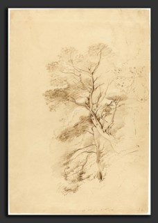 John Linnell (British, 1792 - 1882), A Beech Wood, 1815, graphite heightened with white chalk on