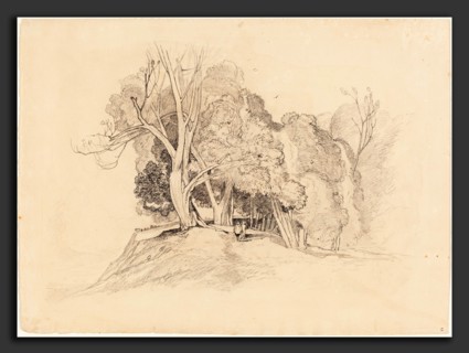 Attributed to John Sell Cotman (British, 1782 - 1842), Landscape with Trees, graphite on wove paper