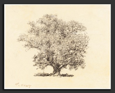 William Henry Hunt (British, 1790 - 1864), A Tree in Full-Leaf, graphite on wove paper