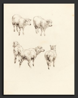 Robert Hills (British, 1769 - 1844), Five Sheep, graphite on wove paper