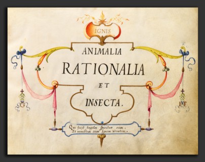 Joris Hoefnagel, Animalia Rationalia et Insecta (Ignis):  Title Page, Flemish, 1542 - 1600, c.