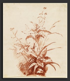 Jean-Baptiste HÃ¼et, I, Flowering Plant with Grass, French, 1745 - 1811, mid 1760s, red chalk with