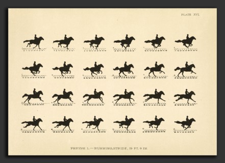 Eadweard Muybridge (American, born England, 1830 - 1904), The Horse in Motion as Shown by