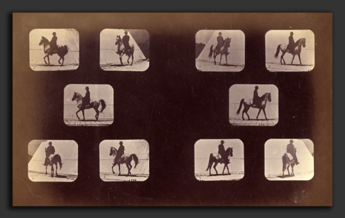 Eadweard Muybridge (American, born England, 1830 - 1904), Illustrations of the Paces Walking, Plate