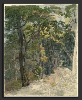 Friedrich Salathé (Swiss, 1793 - 1858), Rays of Sunlight Striking a Woodland Path, c. 1815, pen and